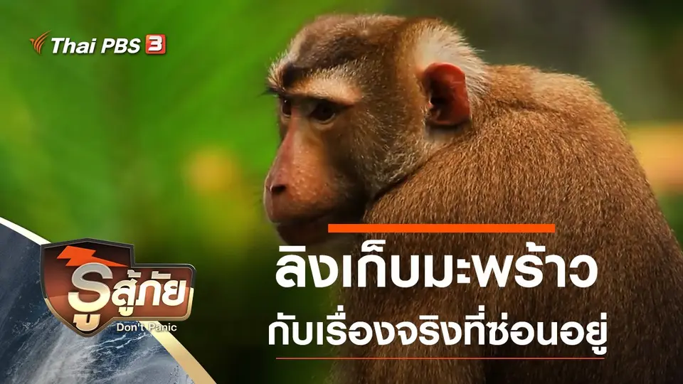 รู้สู้ภัย Don't Panic