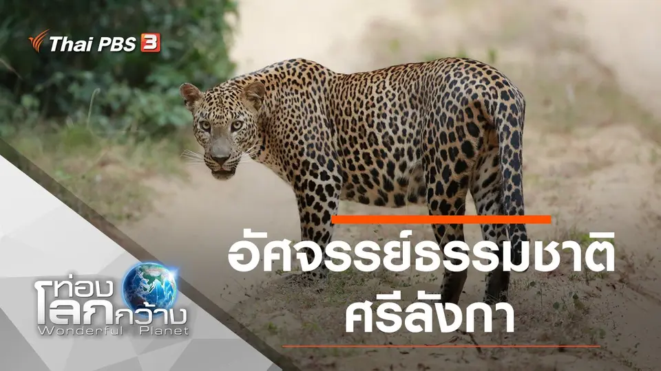 ท่องโลกกว้าง