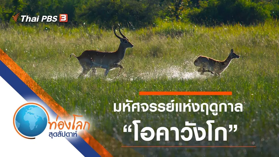 ท่องโลกสุดสัปดาห์