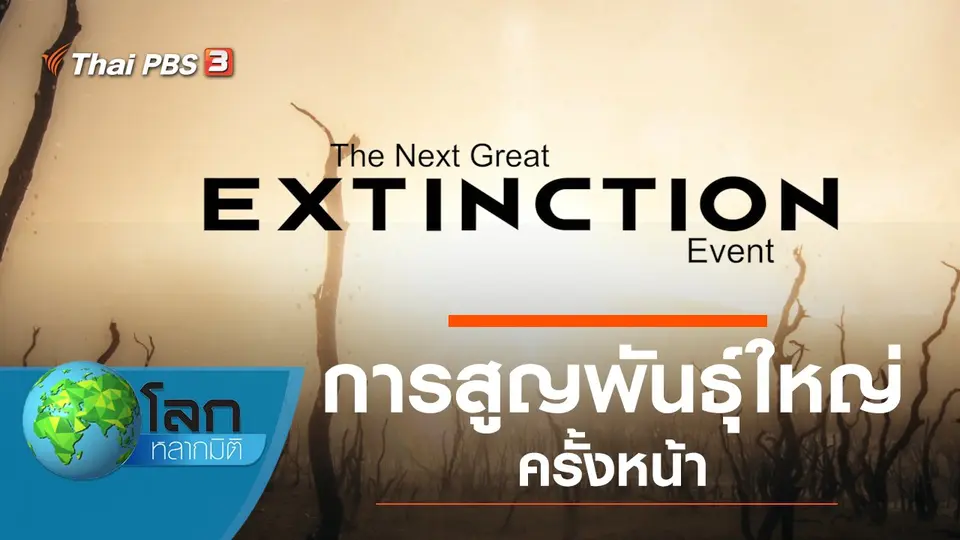 โลกหลากมิติ