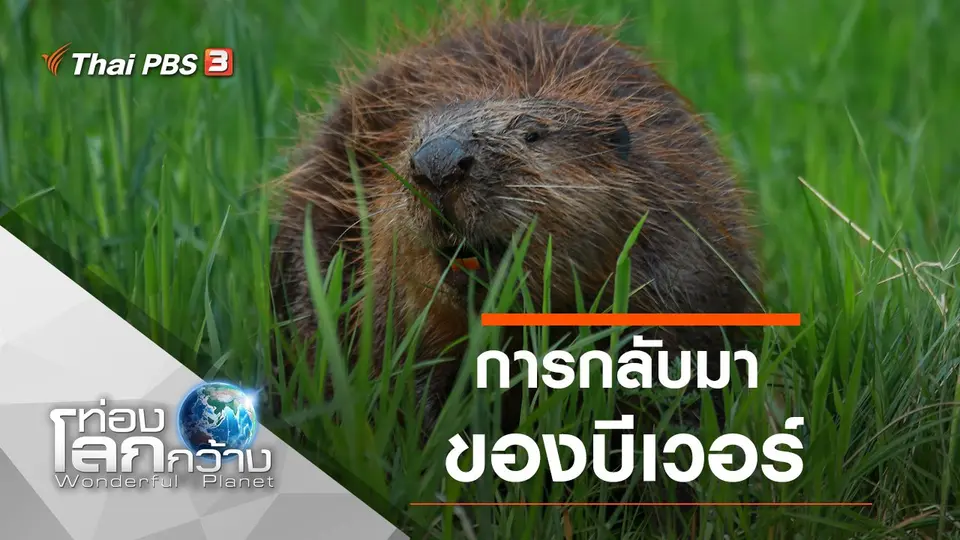 ท่องโลกกว้าง