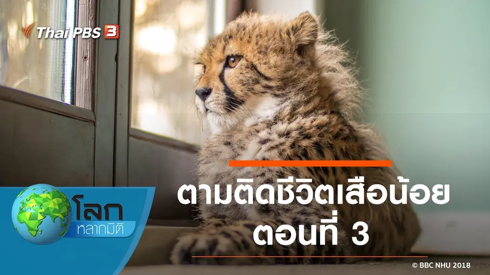 โลกหลากมิติ