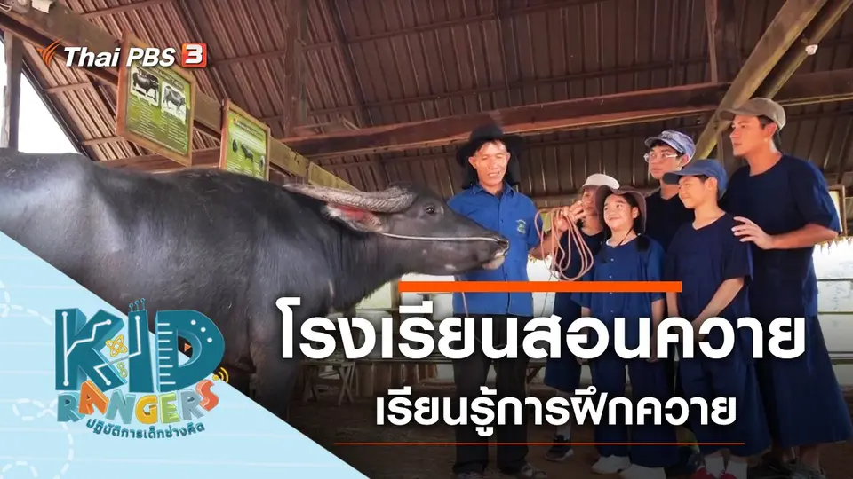 โรงเรียนสอนควาย