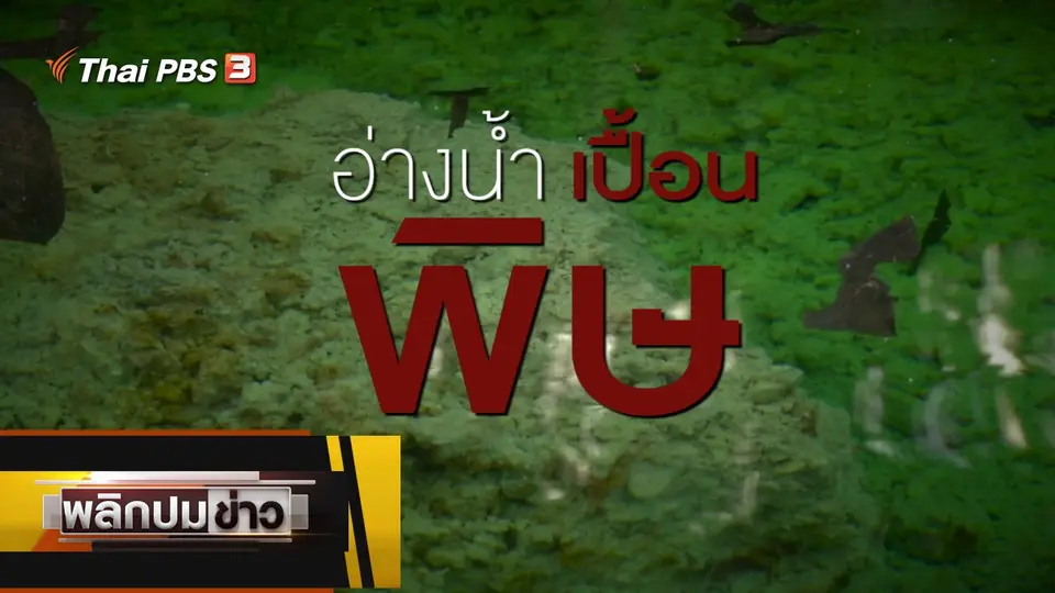 อ่างน้ำเปื้อนพิษ