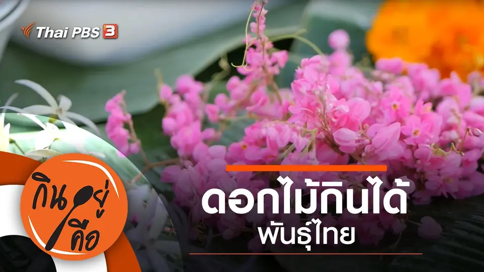 ดอกไม้กินได้พันธุ์ไทย