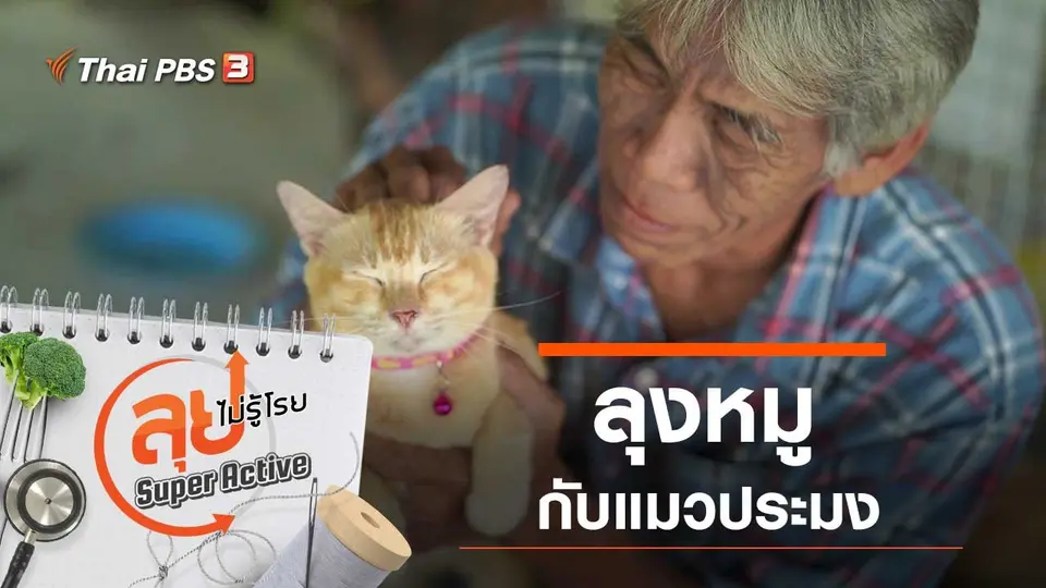 ลุงหมูกับแมวประมง