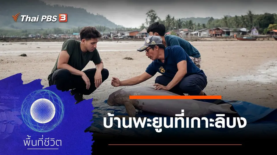 บ้านพะยูนที่เกาะลิบง