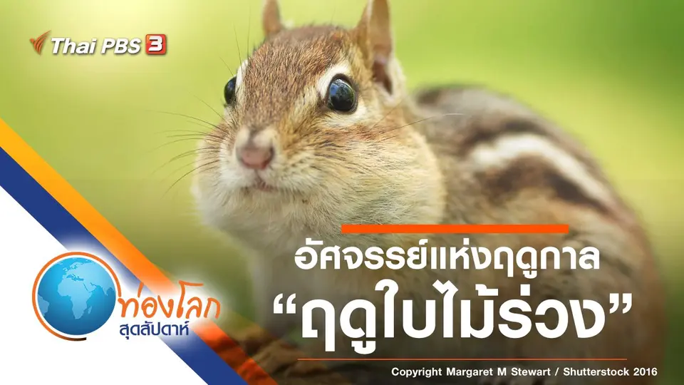 ท่องโลกสุดสัปดาห์