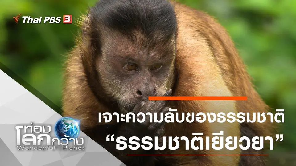 ท่องโลกกว้าง