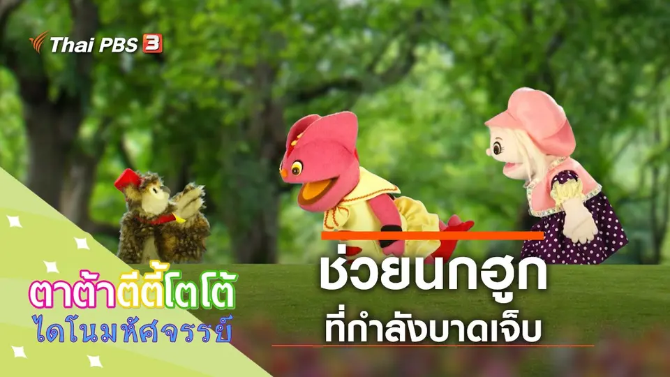 ช่วยนกฮูกบาดเจ็บ
