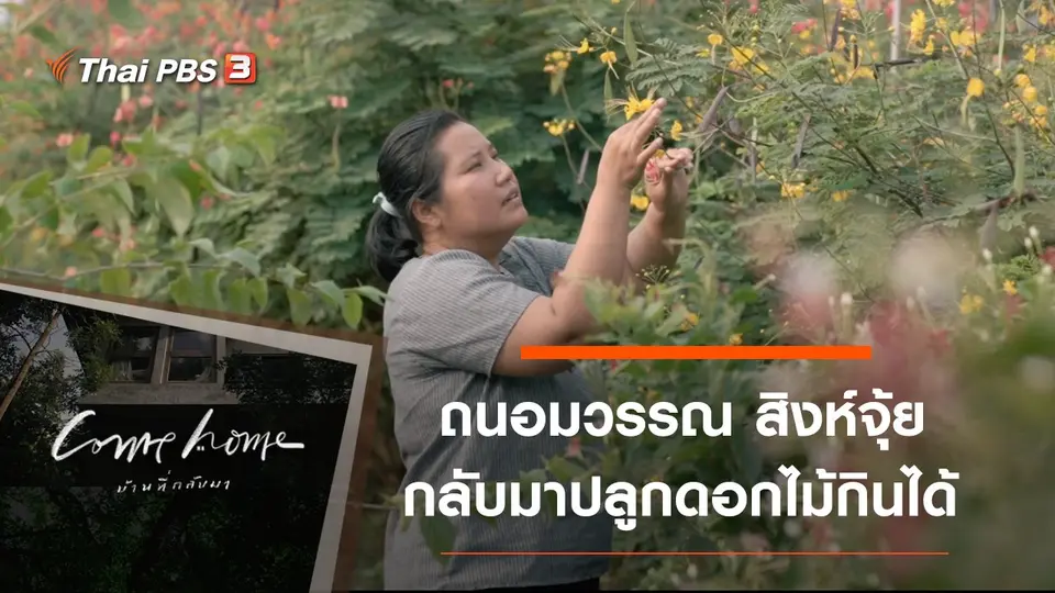 ถนอมวรรณ สิงห์จุ้ย : กลับมาปลูกดอกไม้กินได้
