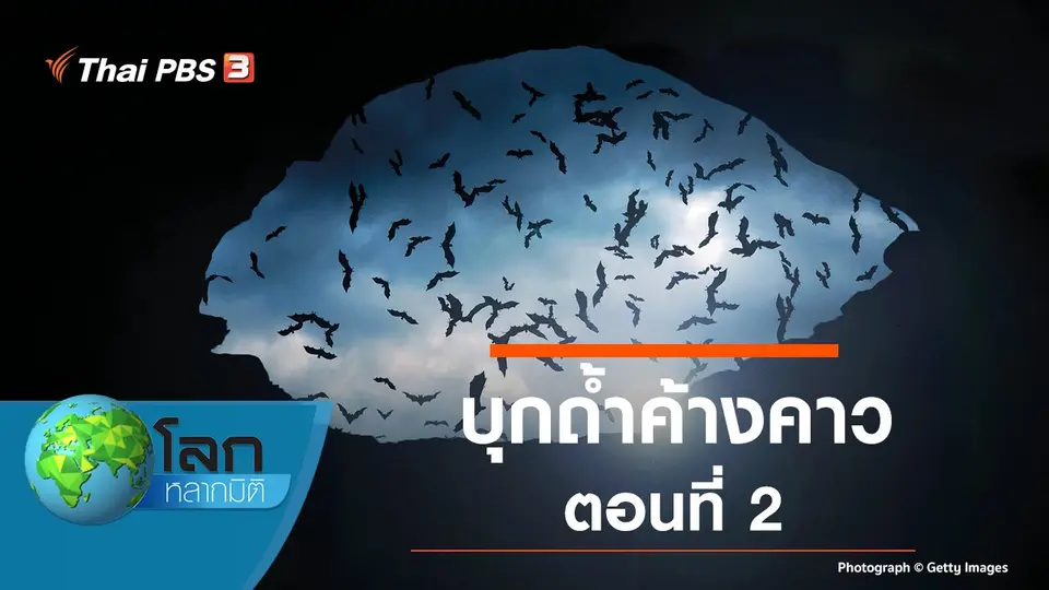 โลกหลากมิติ