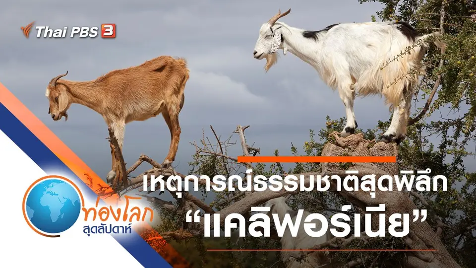 ท่องโลกสุดสัปดาห์