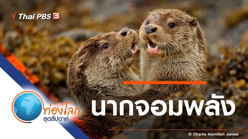 ท่องโลกสุดสัปดาห์