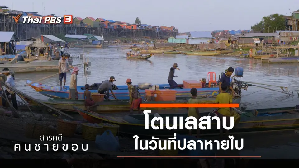 โตนเลสาบ ในวันที่ปลาหาย