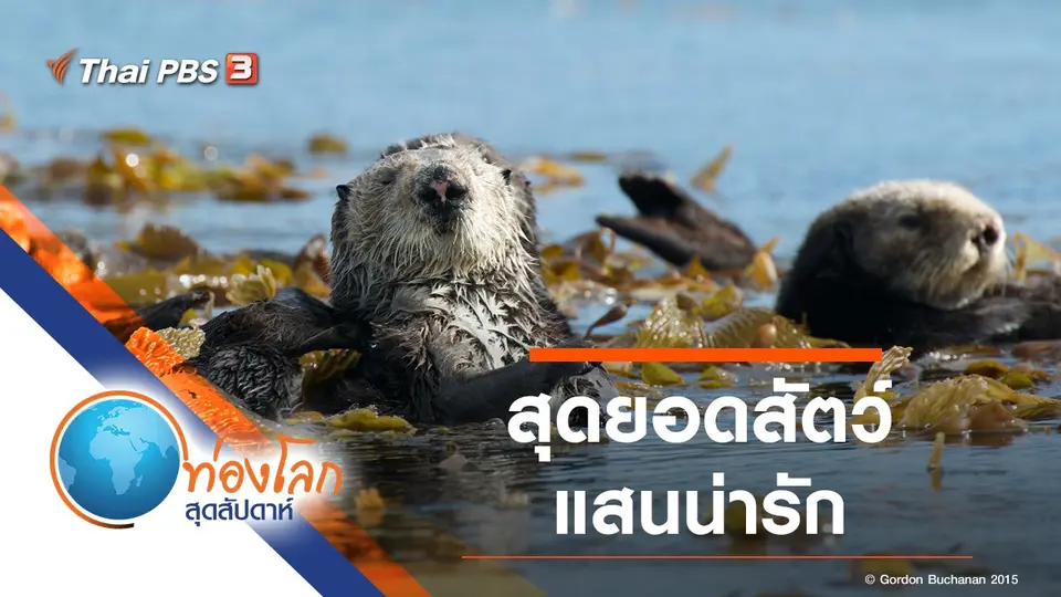 ท่องโลกสุดสัปดาห์
