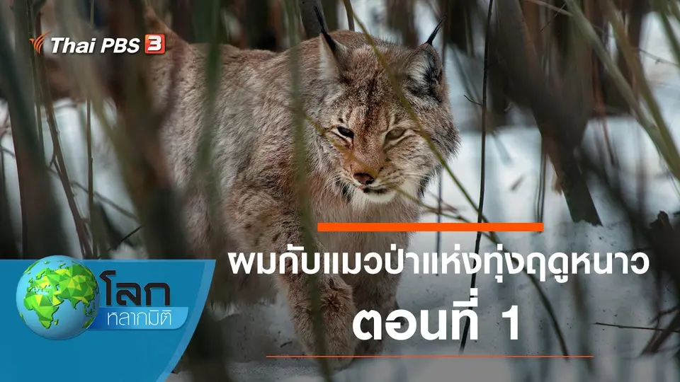 โลกหลากมิติ