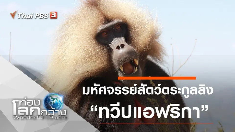 ท่องโลกกว้าง