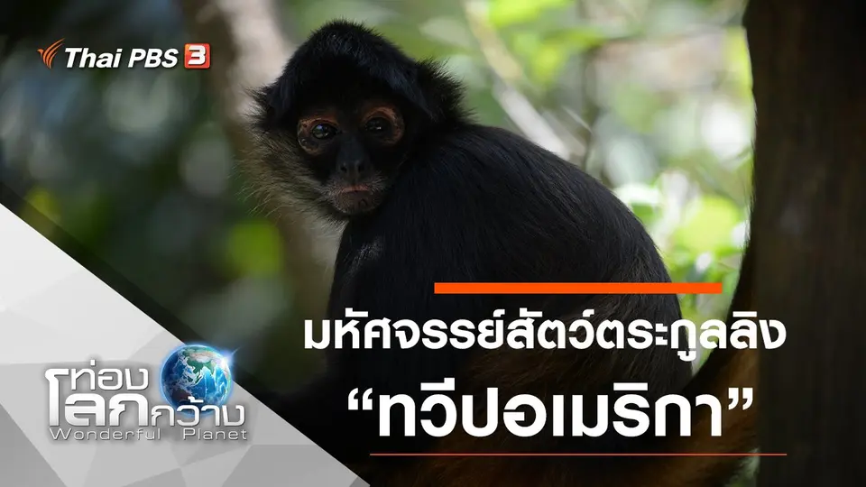 ท่องโลกกว้าง
