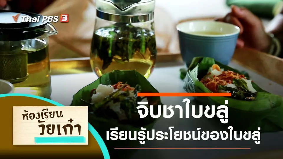 เรียนรู้ประโยชน์ของใบขลู่