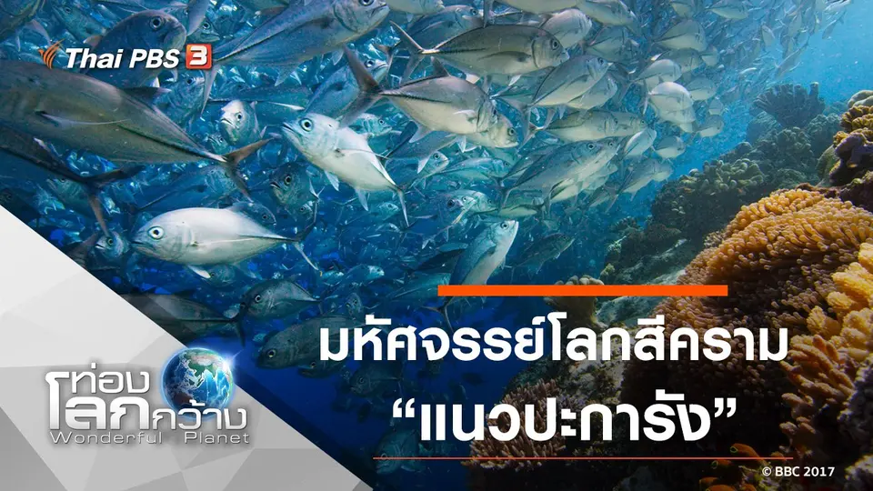 ท่องโลกกว้าง
