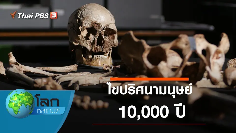 โลกหลากมิติ