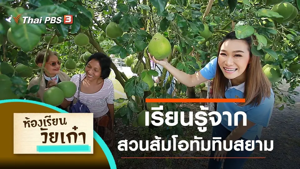 เรียนรู้จากสวนส้มโอทัมทิบสยาม