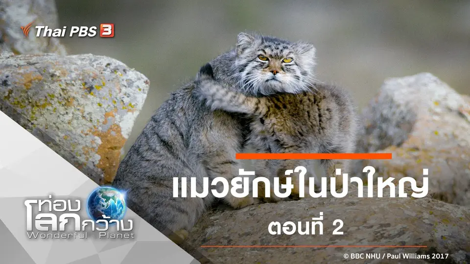 ท่องโลกกว้าง