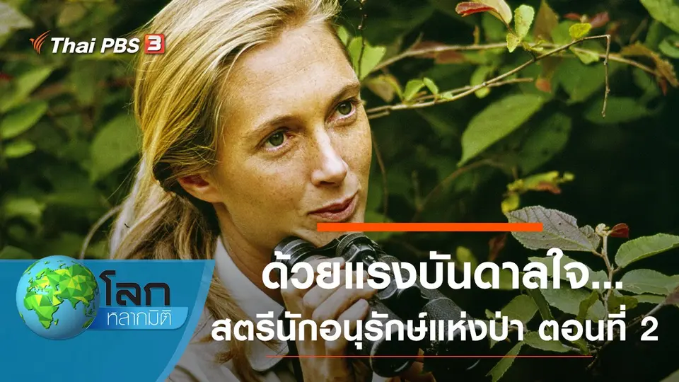 โลกหลากมิติ