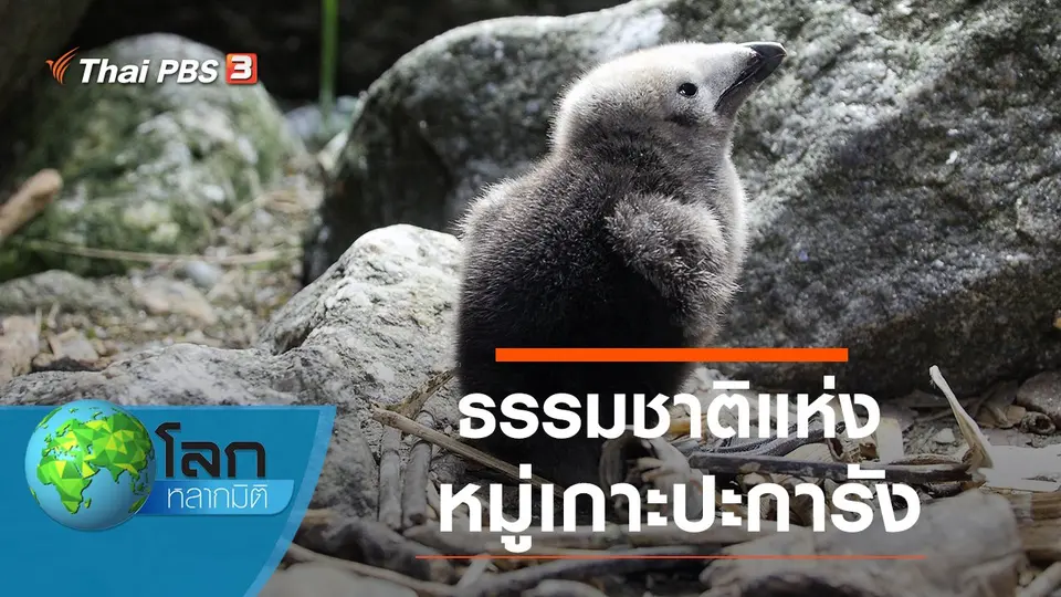 โลกหลากมิติ