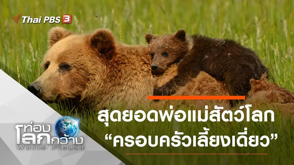 ท่องโลกกว้าง