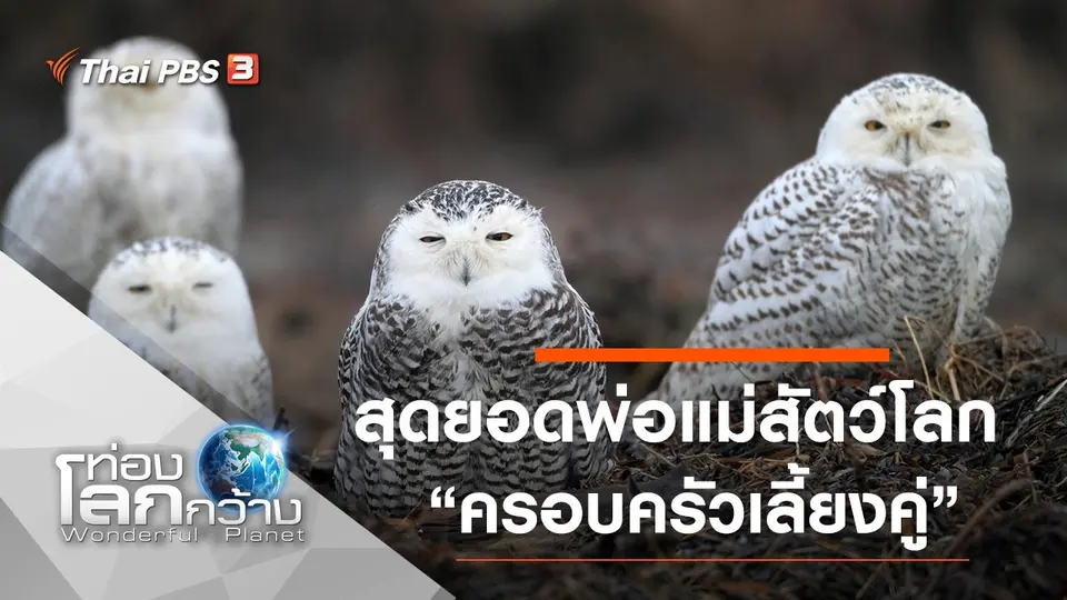 ท่องโลกกว้าง