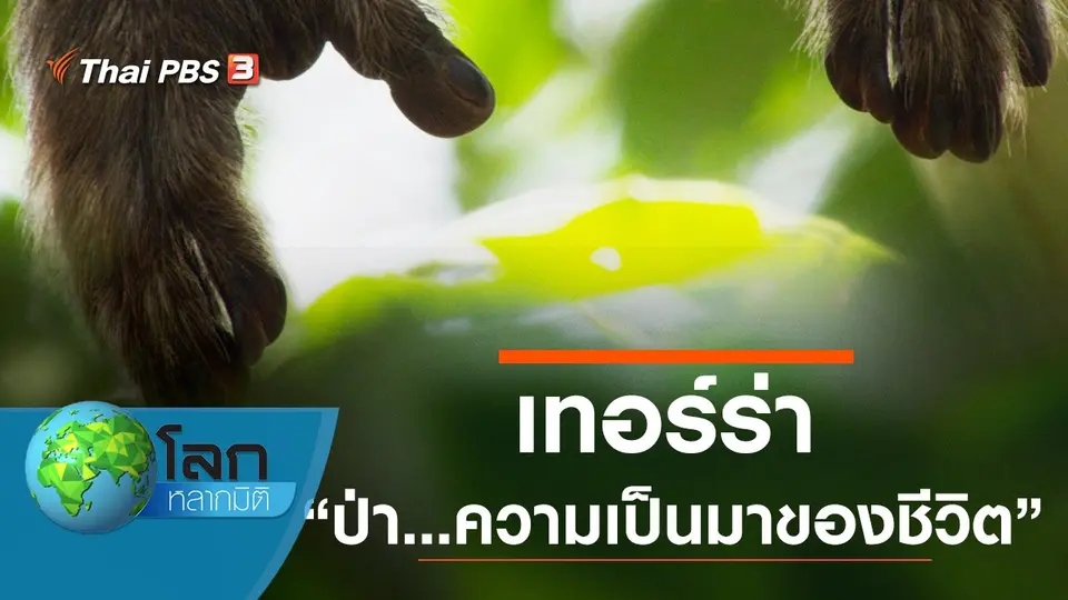 โลกหลากมิติ