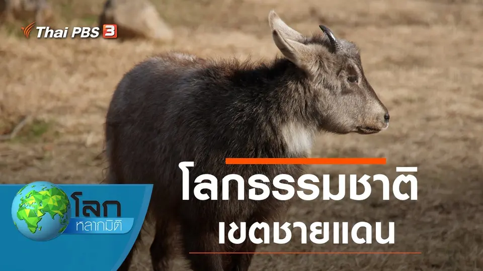 โลกหลากมิติ