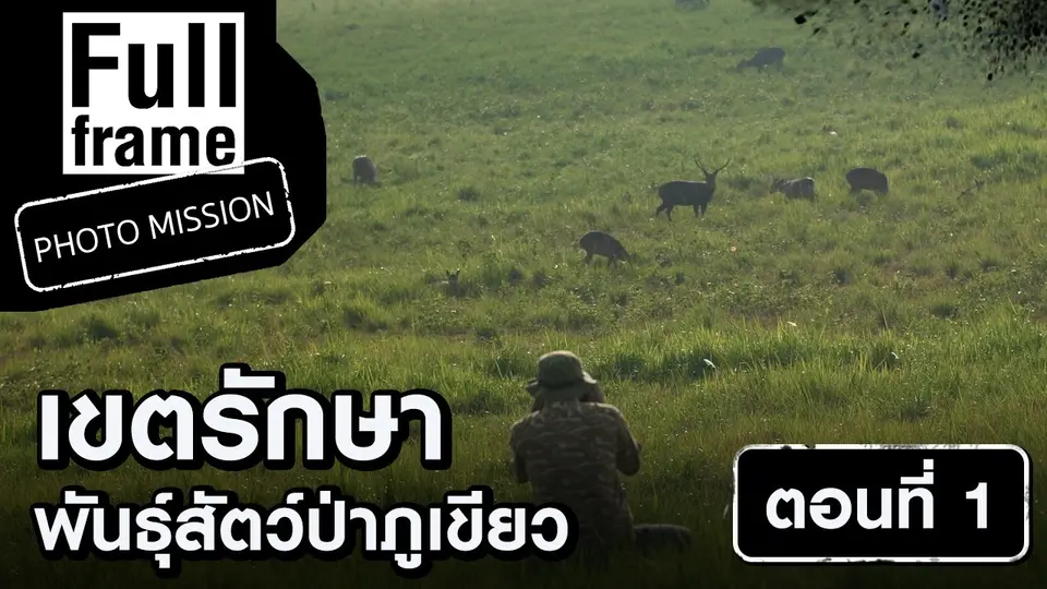 Full Frame Photo Mission