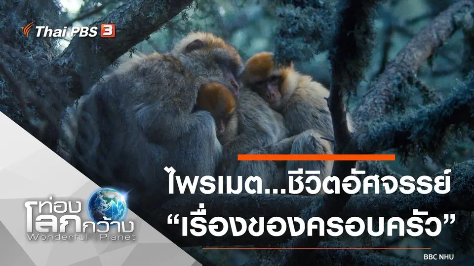 ท่องโลกกว้าง
