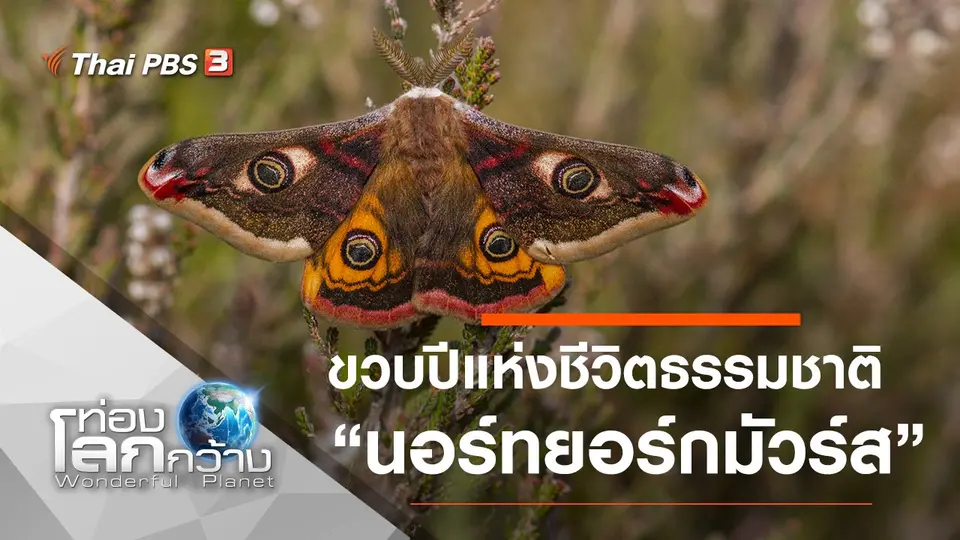 ท่องโลกกว้าง