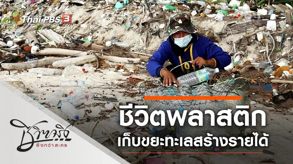 ชีวิตพลาสติก