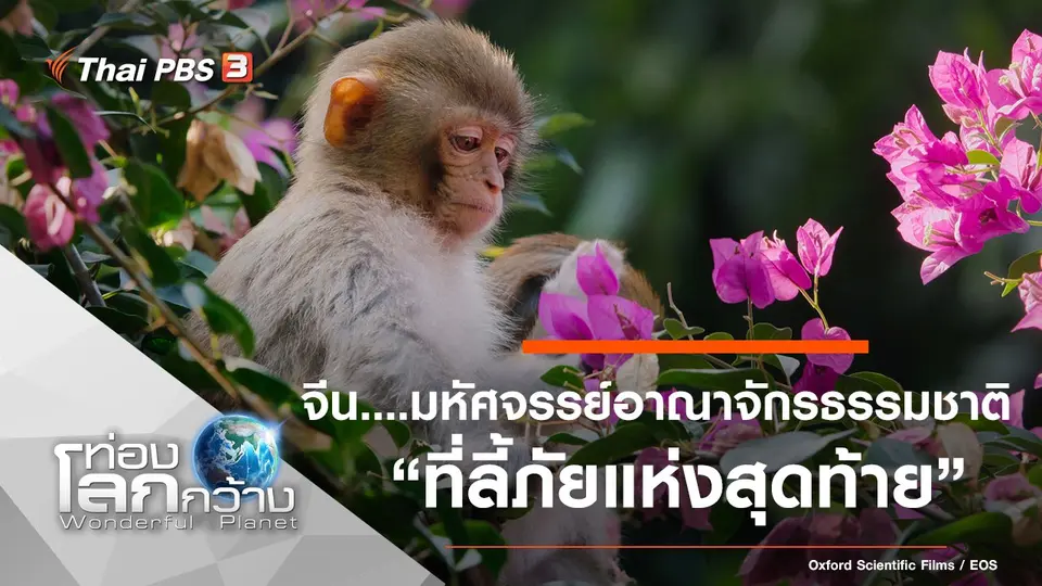 ท่องโลกกว้าง
