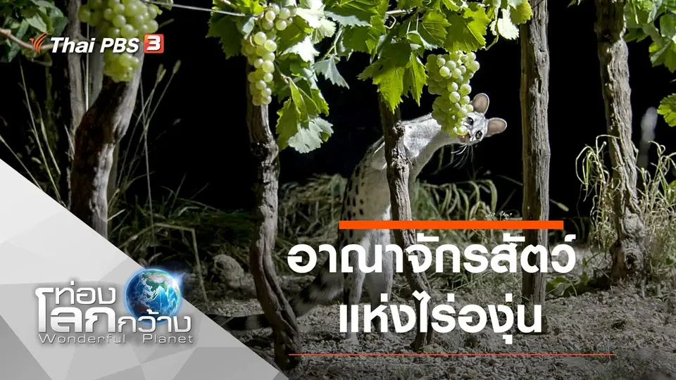 ท่องโลกกว้าง