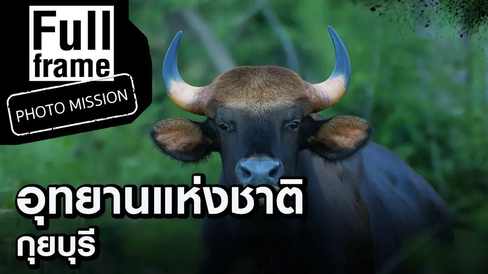 Full Frame Photo Mission