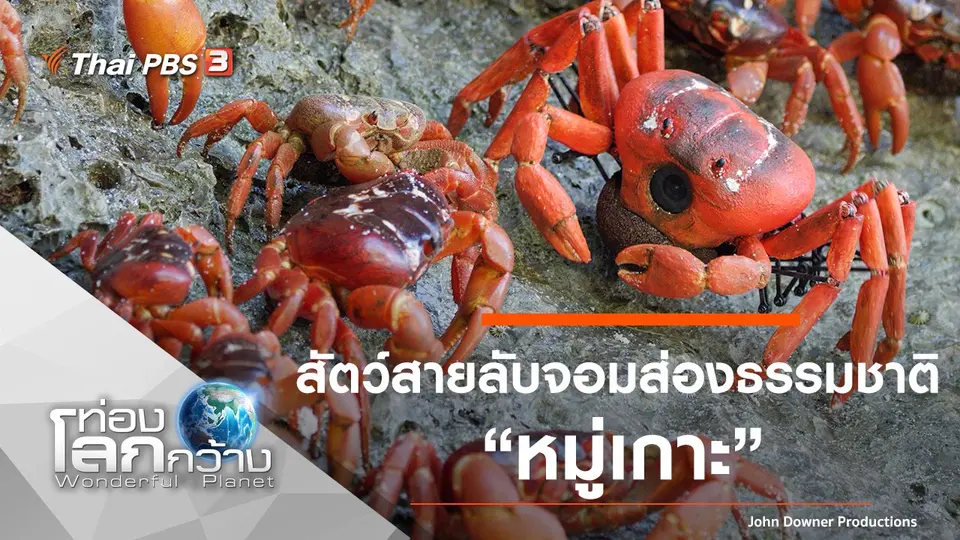 ท่องโลกกว้าง