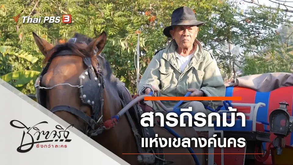 สารถีรถม้าแห่งเขลางค์นคร