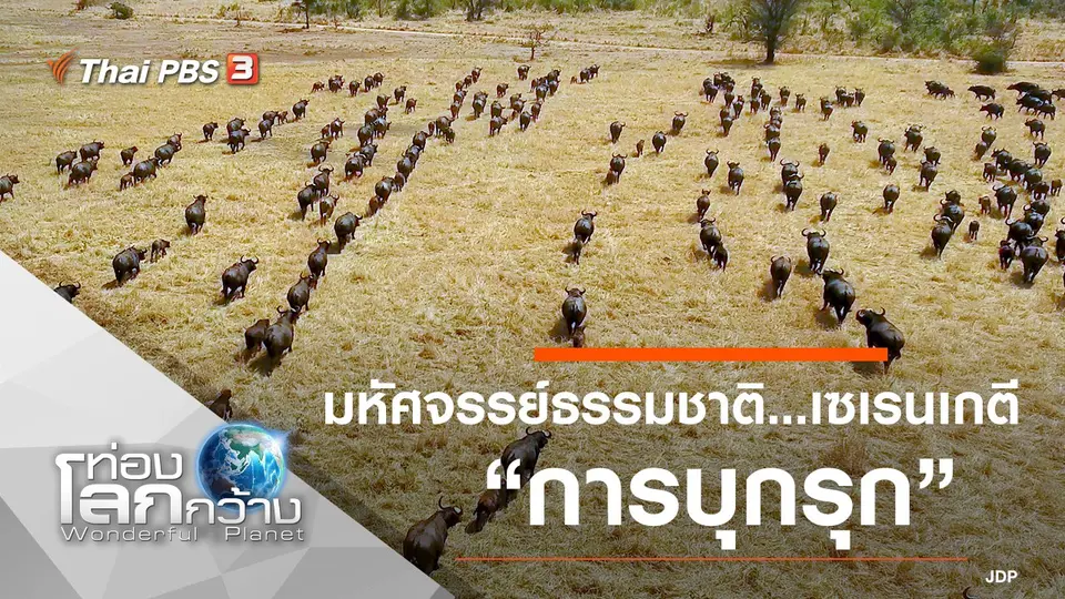 ท่องโลกกว้าง