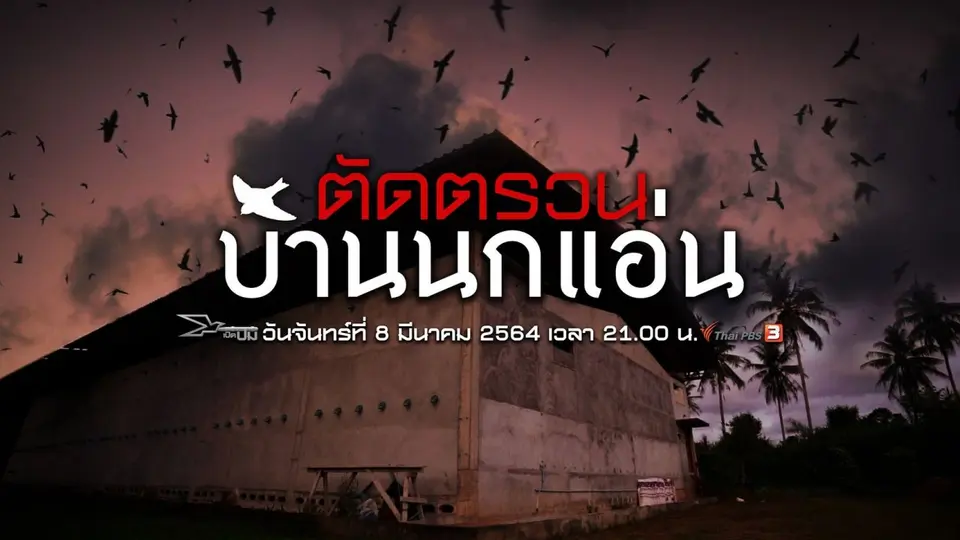 ตัดตรวนบ้านนกแอ่น