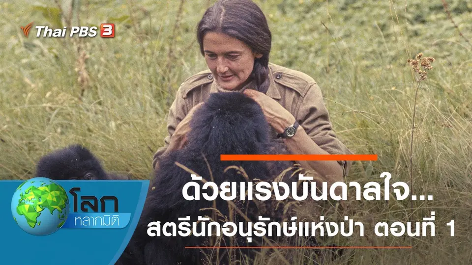 โลกหลากมิติ