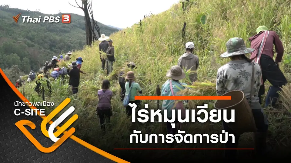 ไร่หมุนเวียนกับการจัดการป่า