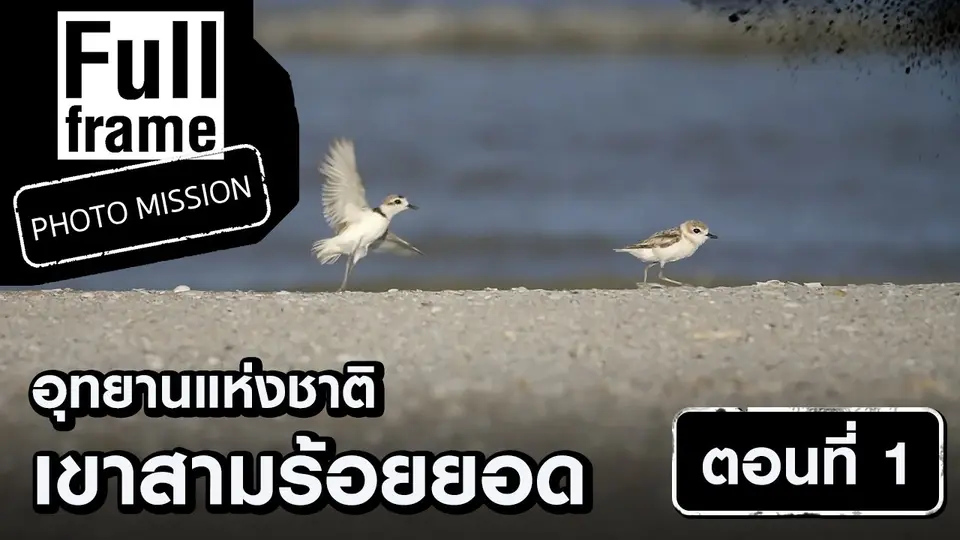Full Frame Photo Mission