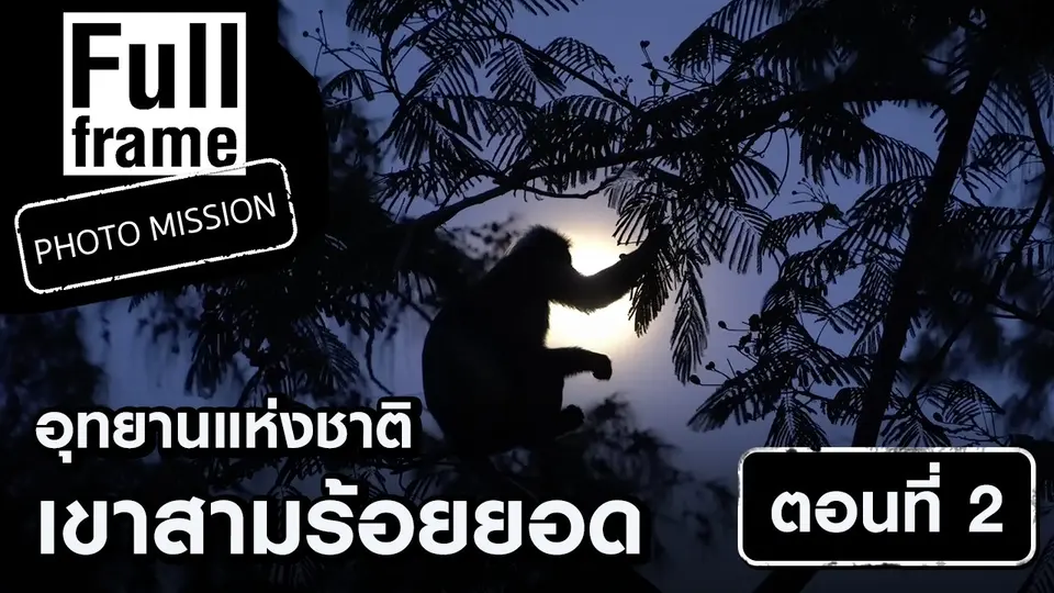 Full Frame Photo Mission