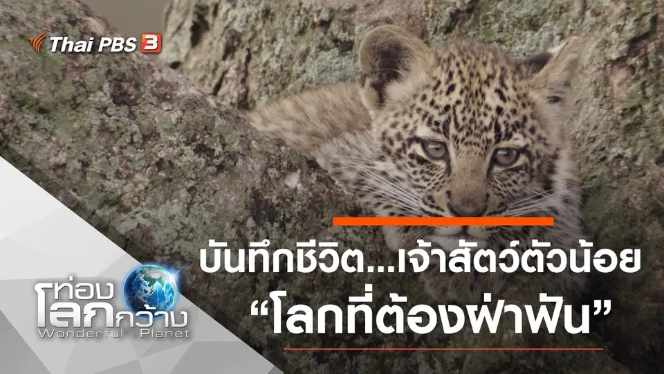 ท่องโลกกว้าง